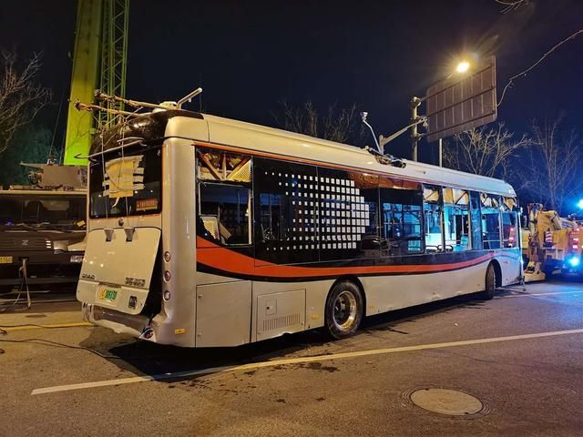 单出红蓝是代表什么生肖,准确解释