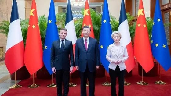 战争贩子是什么生肖,词典解释