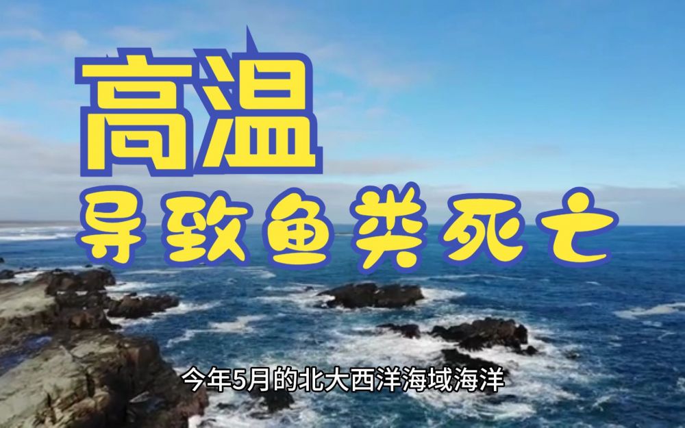 泰国和美国两地大量鱼类死亡